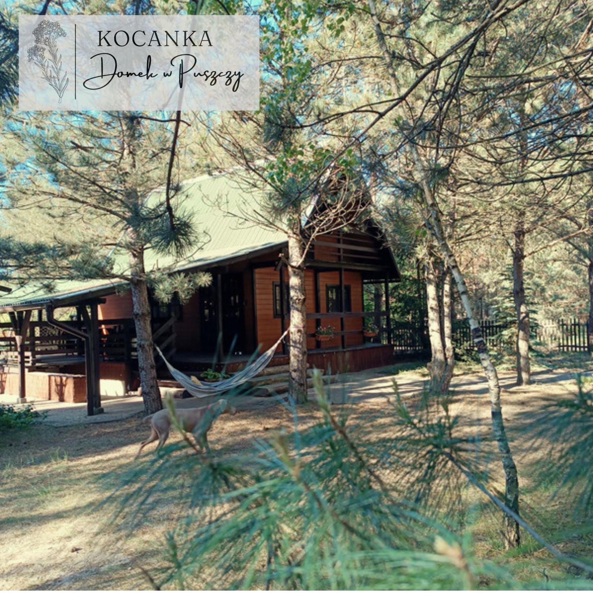 Domek W Puszczy ,,Kocanka" Mezyk Exterior photo